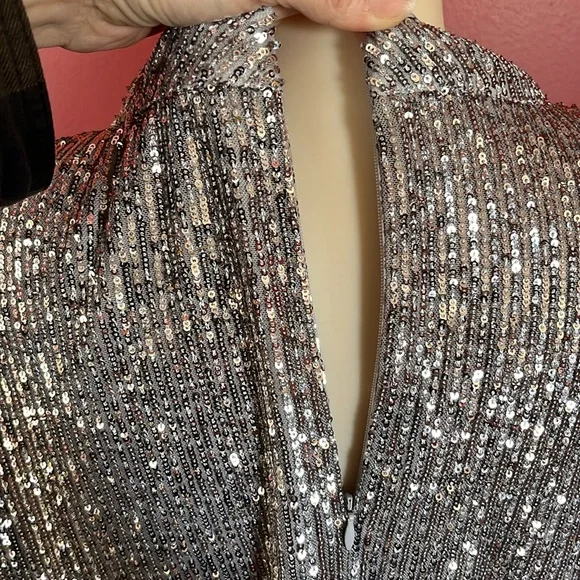 BNWOT Soft surroundings silver sparkly, long sleeve, formal lined top - Picture 8 of 16